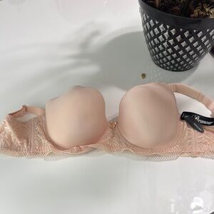 Paramour  Bra